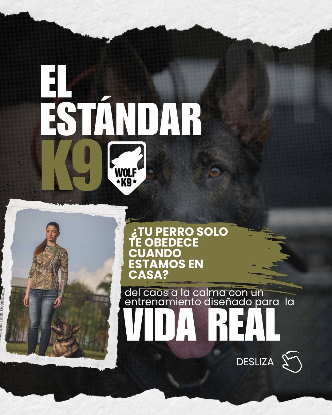 El estándar K9: obediencia para la vida real