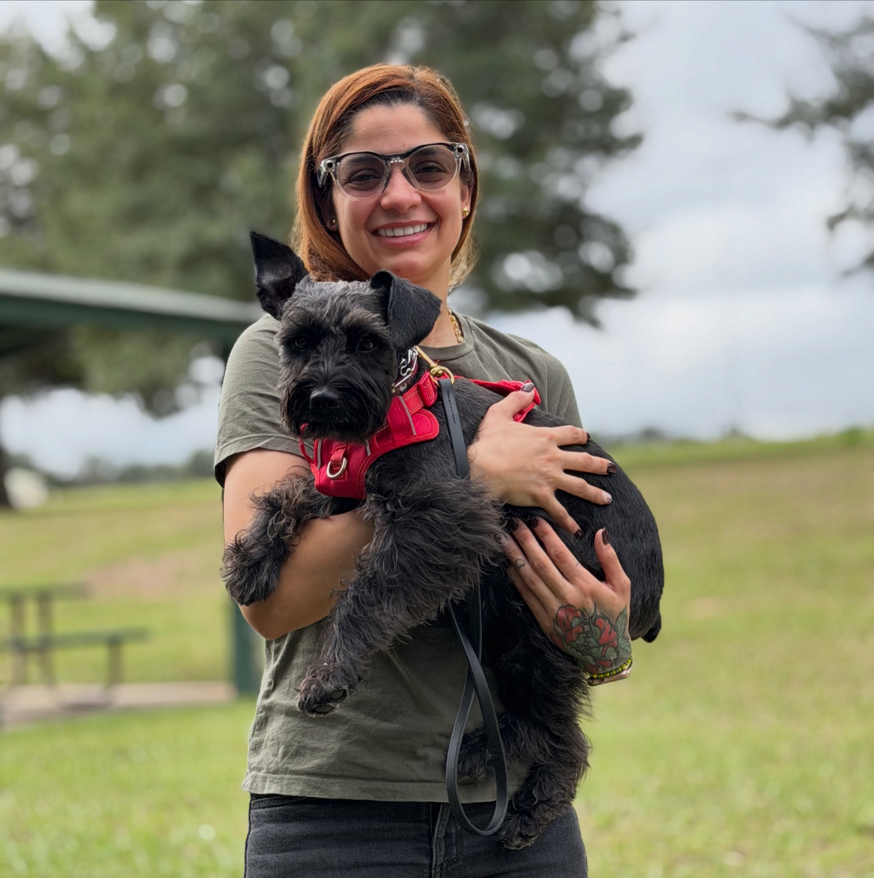 Entrenadora sosteniendo a Zeus, un schnauzer gris, en un parque